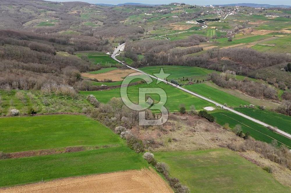 CB AKADEMİ AKMEŞE GİŞELER SATILIK ASFALT CEPHE 19.803 M2 TARLA