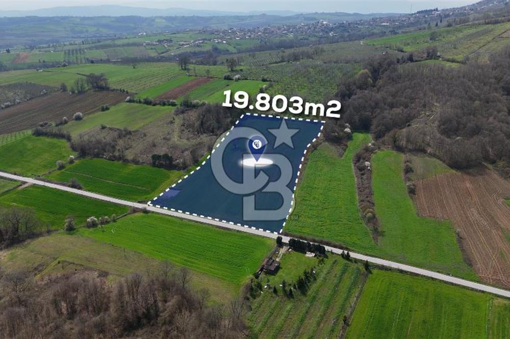 CB AKADEMİ AKMEŞE GİŞELER SATILIK ASFALT CEPHE 19.803 M2 TARLA