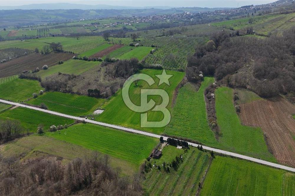 CB AKADEMİ AKMEŞE GİŞELER SATILIK ASFALT CEPHE 19.803 M2 TARLA