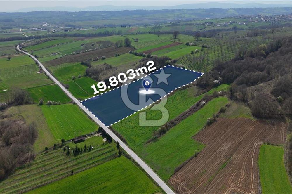 CB AKADEMİ AKMEŞE GİŞELER SATILIK ASFALT CEPHE 19.803 M2 TARLA