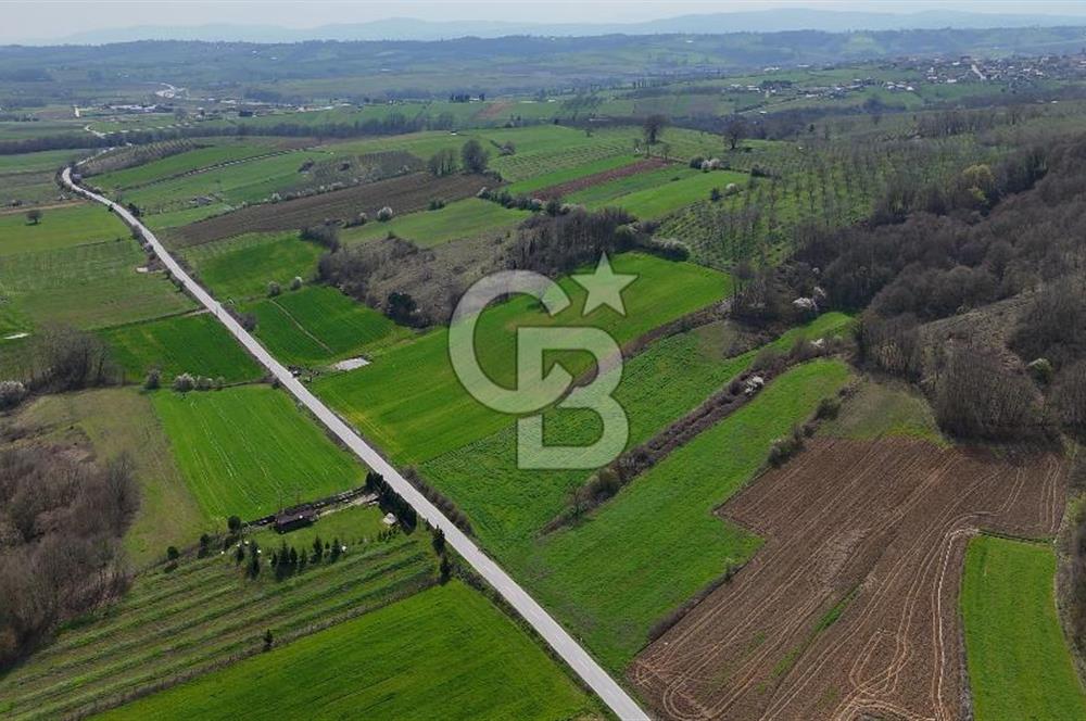 CB AKADEMİ AKMEŞE GİŞELER SATILIK ASFALT CEPHE 19.803 M2 TARLA