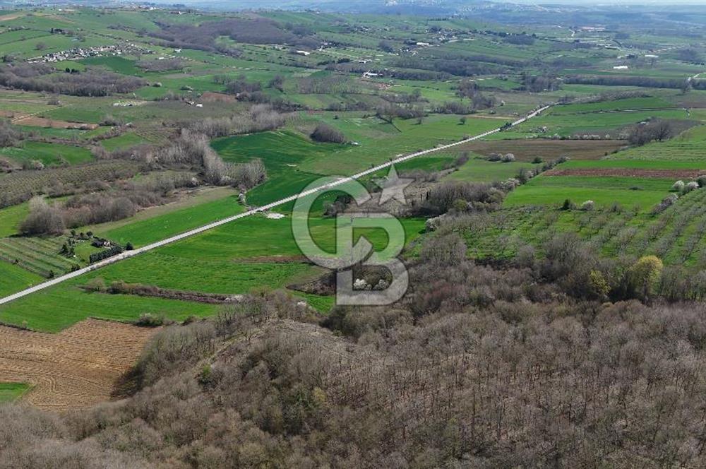 CB AKADEMİ AKMEŞE GİŞELER SATILIK ASFALT CEPHE 19.803 M2 TARLA