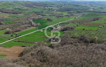 CB AKADEMİ AKMEŞE GİŞELER SATILIK ASFALT CEPHE 19.803 M2 TARLA