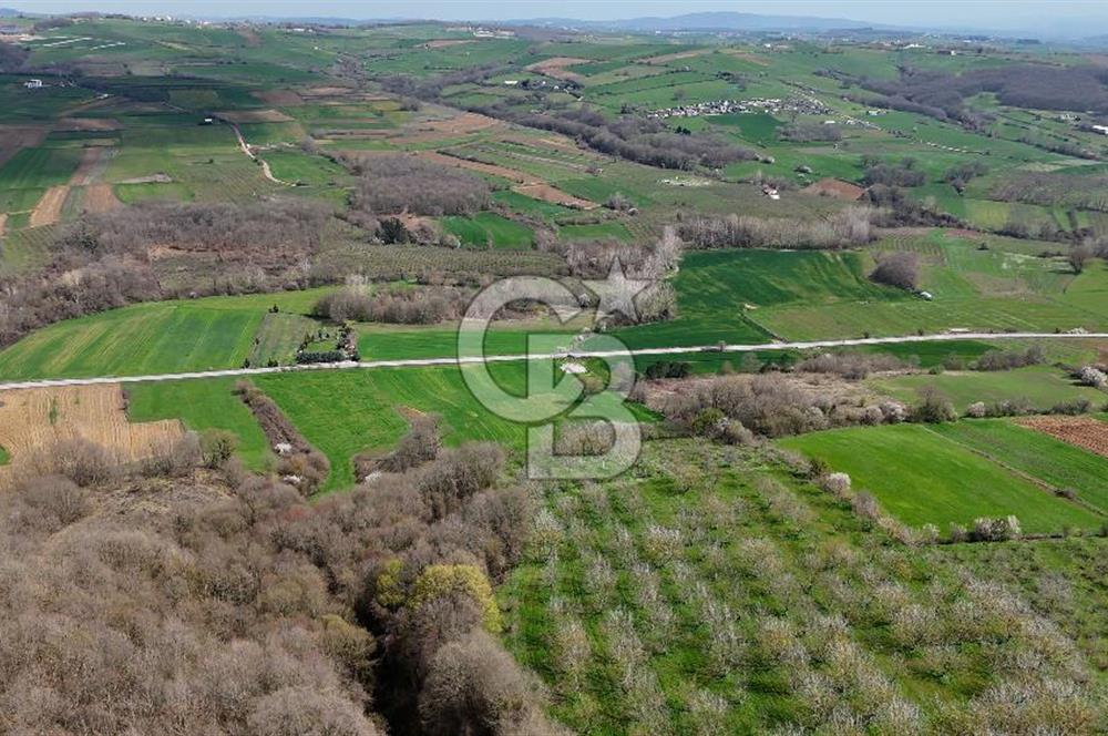 CB AKADEMİ AKMEŞE GİŞELER SATILIK ASFALT CEPHE 19.803 M2 TARLA