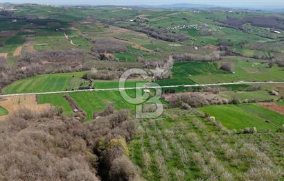 CB AKADEMİ AKMEŞE GİŞELER SATILIK ASFALT CEPHE 19.803 M2 TARLA