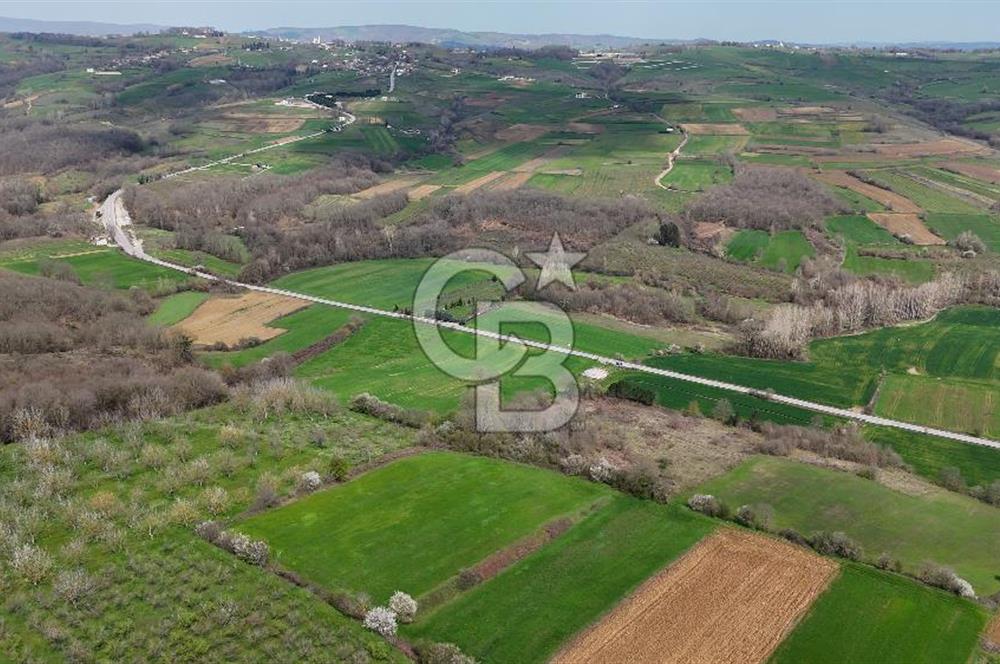 CB AKADEMİ AKMEŞE GİŞELER SATILIK ASFALT CEPHE 19.803 M2 TARLA