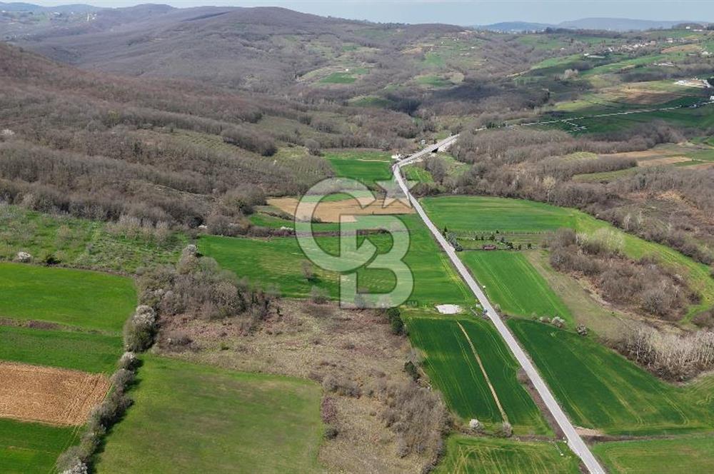 CB AKADEMİ AKMEŞE GİŞELER SATILIK ASFALT CEPHE 19.803 M2 TARLA