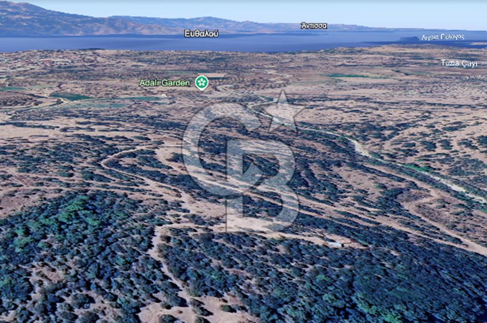 ÇANAKKALE AYVACIK PAŞAKÖY'DE 22 DÖNÜM SATILIK TARLA