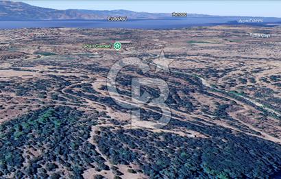 ÇANAKKALE AYVACIK PAŞAKÖY'DE 22 DÖNÜM SATILIK TARLA