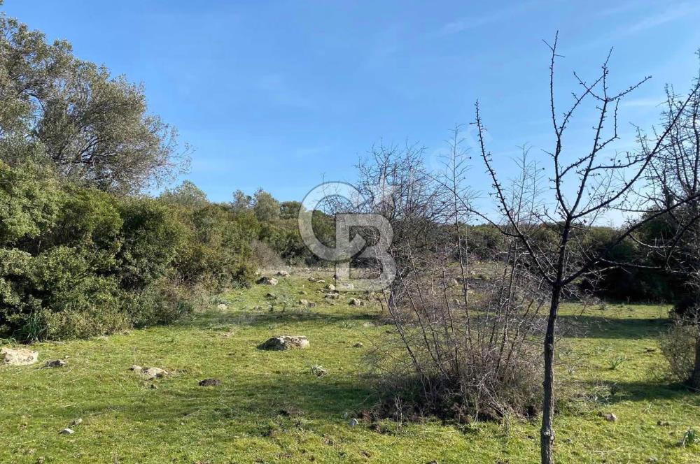 ÇANAKKALE AYVACIK PAŞAKÖY'DE 22 DÖNÜM SATILIK TARLA