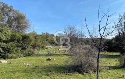 ÇANAKKALE AYVACIK PAŞAKÖY'DE 22 DÖNÜM SATILIK TARLA