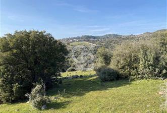 ÇANAKKALE AYVACIK PAŞAKÖY'DE 22 DÖNÜM SATILIK TARLA - 1 - 343269