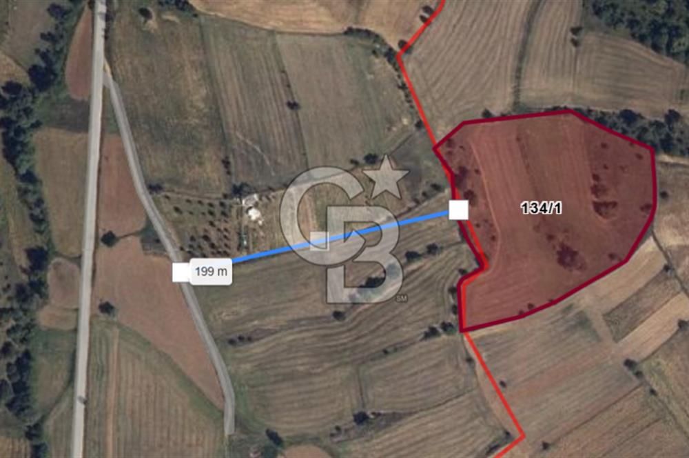 CB ODAK'TAN BİLECİK BOZÜYÜK'TE SATILIK 16 DÖNÜM TARLA