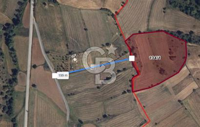 CB ODAK'TAN BİLECİK BOZÜYÜK'TE SATILIK 16 DÖNÜM TARLA