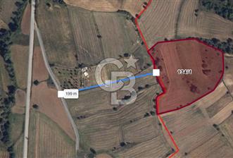 CB ODAK'TAN BİLECİK BOZÜYÜK'TE SATILIK 16 DÖNÜM TARLA - 6 - 343227