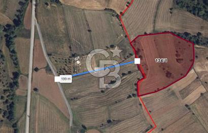 CB ODAK'TAN BİLECİK BOZÜYÜK'TE SATILIK 16 DÖNÜM TARLA