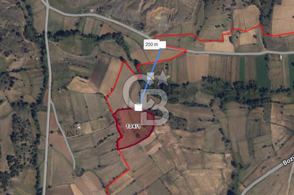 CB ODAK'TAN BİLECİK BOZÜYÜK'TE SATILIK 16 DÖNÜM TARLA