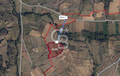 CB ODAK'TAN BİLECİK BOZÜYÜK'TE SATILIK 16 DÖNÜM TARLA