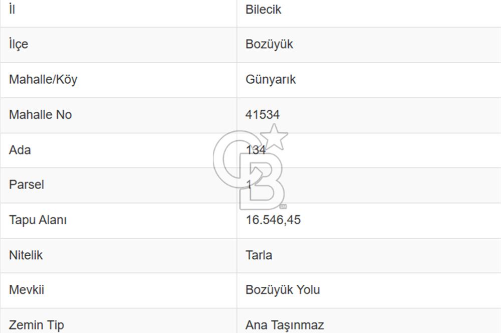 CB ODAK'TAN BİLECİK BOZÜYÜK'TE SATILIK 16 DÖNÜM TARLA
