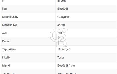 CB ODAK'TAN BİLECİK BOZÜYÜK'TE SATILIK 16 DÖNÜM TARLA