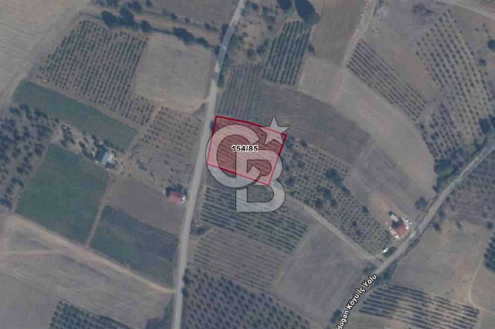 Geyve Akdoğan'da 2400 m² Üzüm Bağı