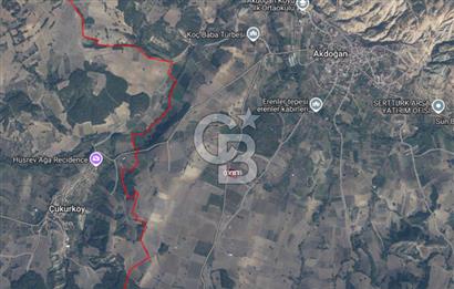 Geyve Akdoğan'da 2400 m² Üzüm Bağı