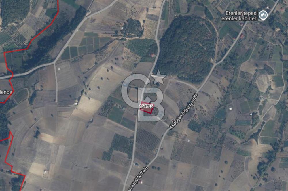 Geyve Akdoğan'da 2400 m² Üzüm Bağı