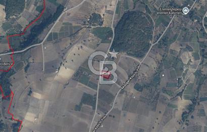 Geyve Akdoğan'da 2400 m² Üzüm Bağı