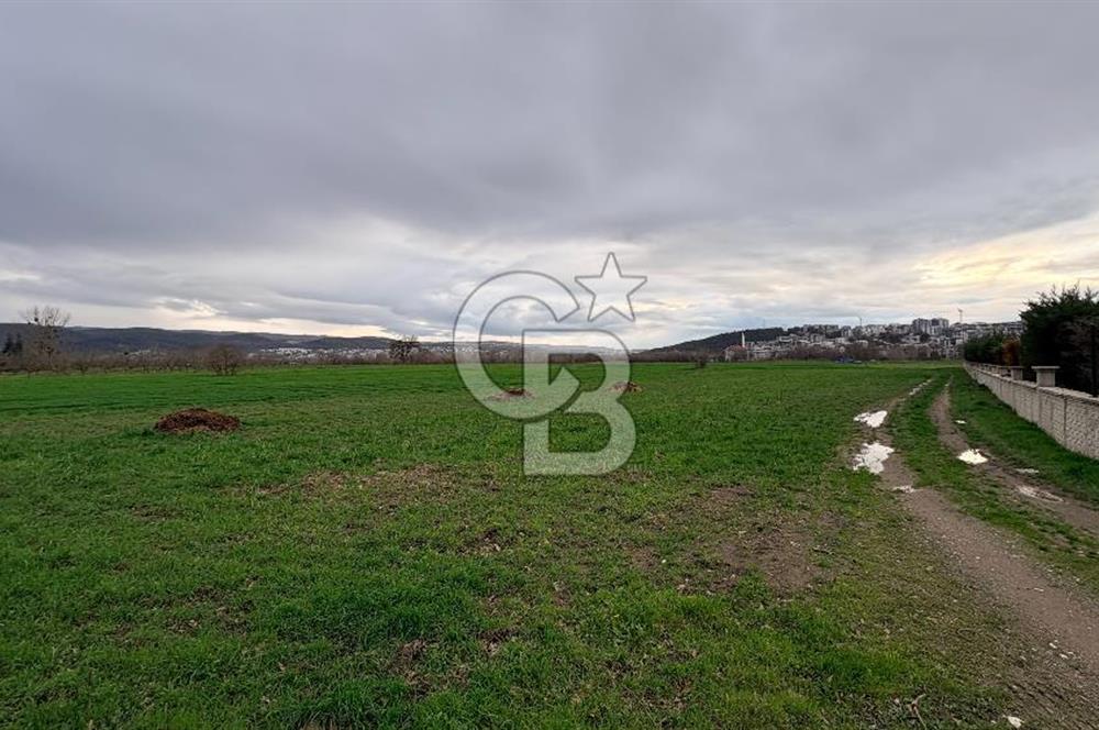 KAYAPA İSTİKLALDE 3435 M2 KİRALIK TARLA