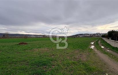 KAYAPA İSTİKLALDE 3435 M2 KİRALIK TARLA