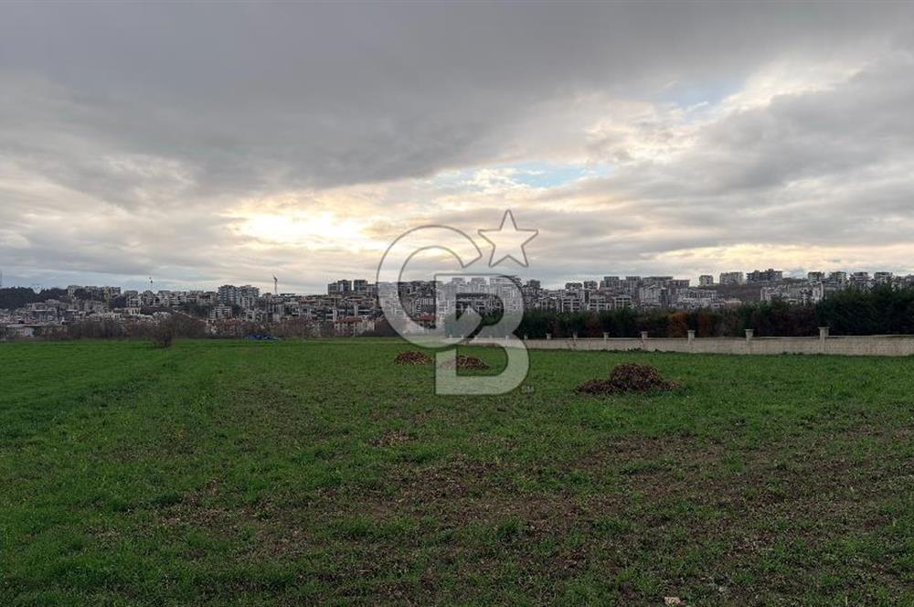 KAYAPA İSTİKLALDE 3435 M2 KİRALIK TARLA