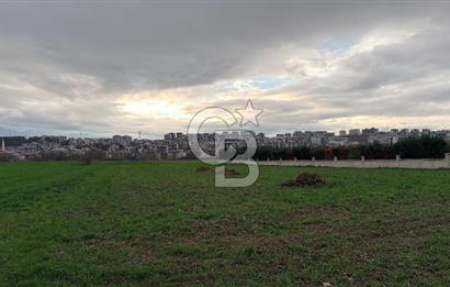 KAYAPA İSTİKLALDE 3435 M2 KİRALIK TARLA