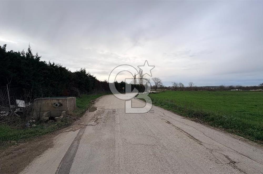 KAYAPA İSTİKLALDE 3435 M2 KİRALIK TARLA