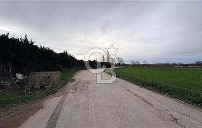 KAYAPA İSTİKLALDE 3435 M2 KİRALIK TARLA