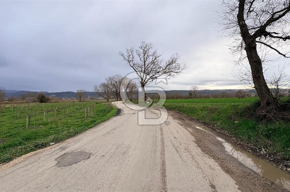 KAYAPA İSTİKLALDE 3435 M2 KİRALIK TARLA