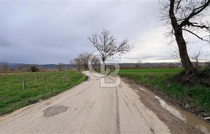 KAYAPA İSTİKLALDE 3435 M2 KİRALIK TARLA