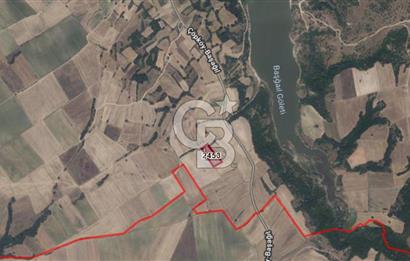 EDİRNE UZUNKÖPRÜ BAŞAĞIL KÖYÜNDE 5200 M2 SATILIK TARLA