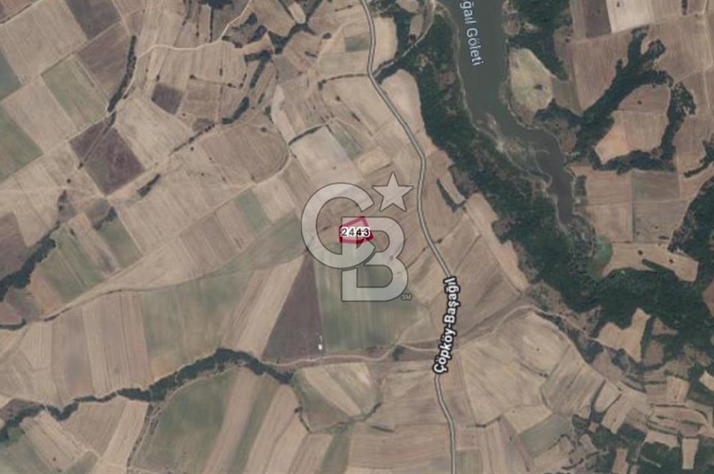 EDİRNE UZUNKÖPRÜ BAŞAĞIL KÖYÜNDE 4500 M2 SATILIK ARSA