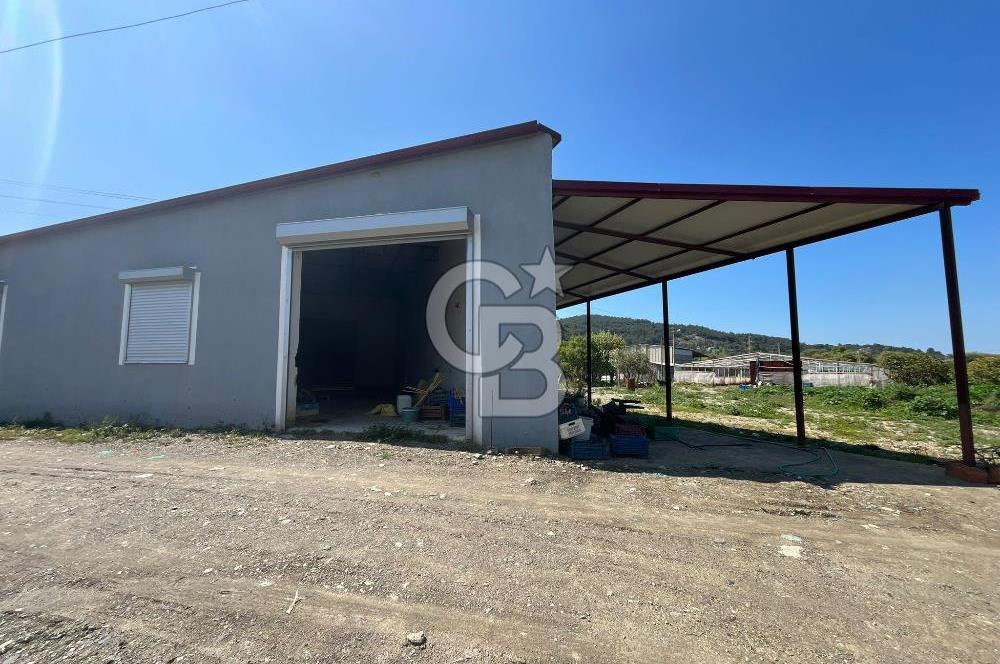 Güzelbahçe'de Ana Yola Yakın 200 M2 Ruhsatlı Kiralık İşyeri