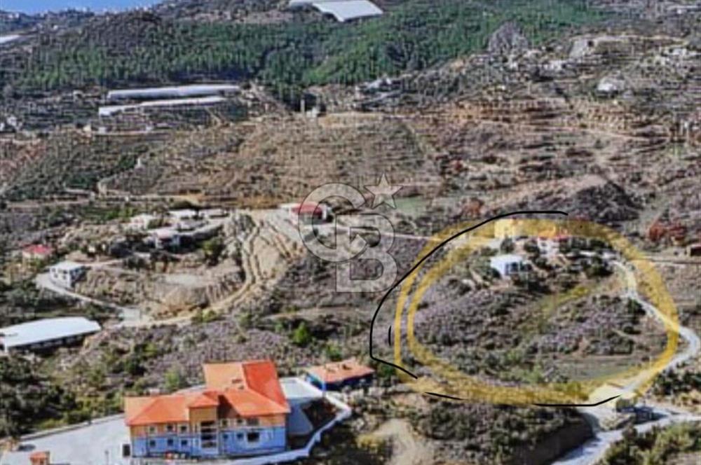 ALANYA DENİZ MANZARALI ARSA