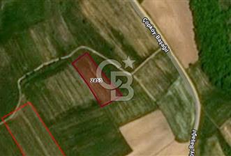 EDİRNE UZUNKÖPRÜ BAŞAĞIL KÖYÜNDE 5200 M2 SATILIK TARLA - 2 - 343264