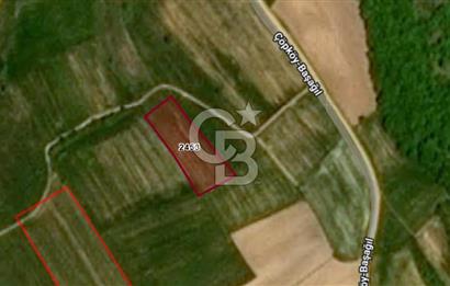 EDİRNE UZUNKÖPRÜ BAŞAĞIL KÖYÜNDE 5200 M2 SATILIK TARLA