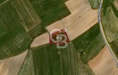 EDİRNE UZUNKÖPRÜ BAŞAĞIL KÖYÜNDE 4500 M2 SATILIK ARSA