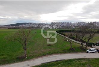 KAYAPA İSTİKLALDE 3435 M2 KİRALIK TARLA - 1 - 343256