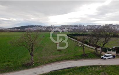 KAYAPA İSTİKLALDE 3435 M2 KİRALIK TARLA