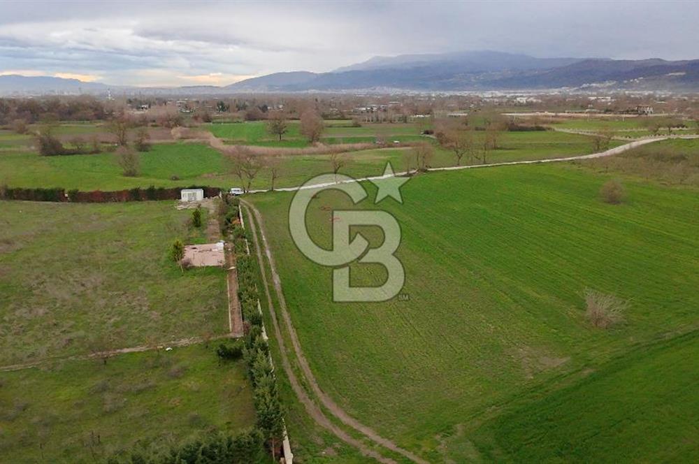 KAYAPA İSTİKLALDE 3435 M2 KİRALIK TARLA