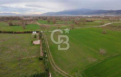 KAYAPA İSTİKLALDE 3435 M2 KİRALIK TARLA