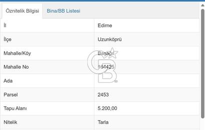 EDİRNE UZUNKÖPRÜ BAŞAĞIL KÖYÜNDE 5200 M2 SATILIK TARLA
