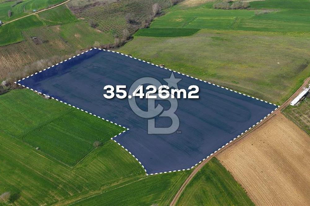 CB AKADEMİ BAĞLICA GÖL MANZARA YOL CEPHE SATILIK 35.426 m2 TARLA