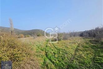 CB AMBIANCE'DEN KARACABEYDE SULU VE YOLU OLAN 7.618 m² TARLA - 1 - 343281